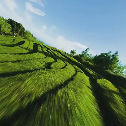 S156 Drone Quadcopter